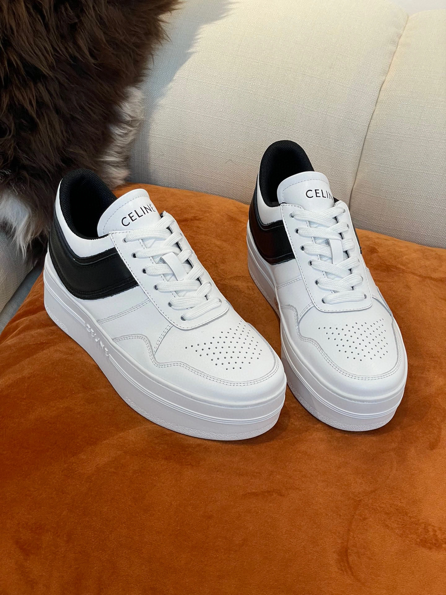 COCO-- 346163338C.01OK item:B-X02L1930